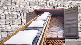 В ИКАР оценили потенциал экспорта сахара из России в 2025/26 сельхозгоду 